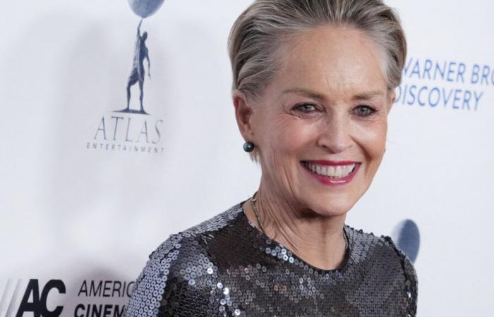 Sharon Stone: “Perdí mi lugar en la cola de Hollywood” (EXCLUSIVA)