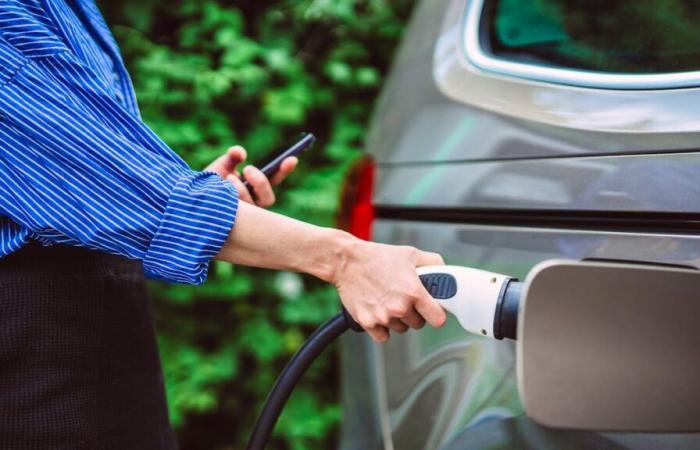 “Friburgo da una gran bofetada a los coches eléctricos”