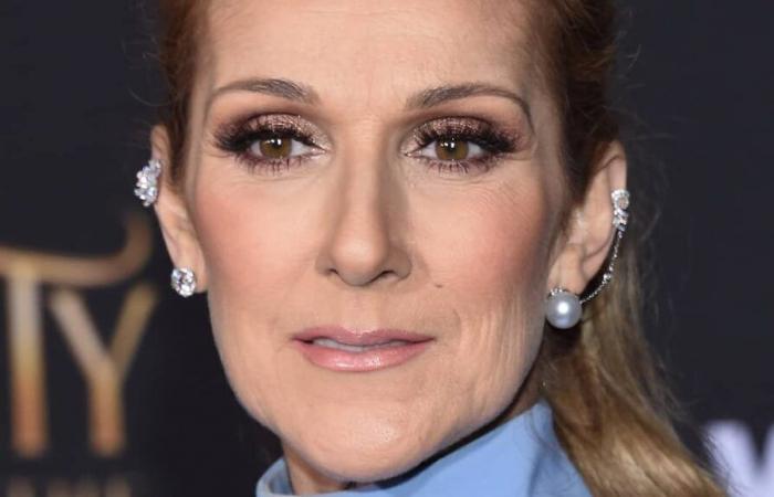 Incendios en Los Ángeles: Céline Dion se moviliza por las víctimas