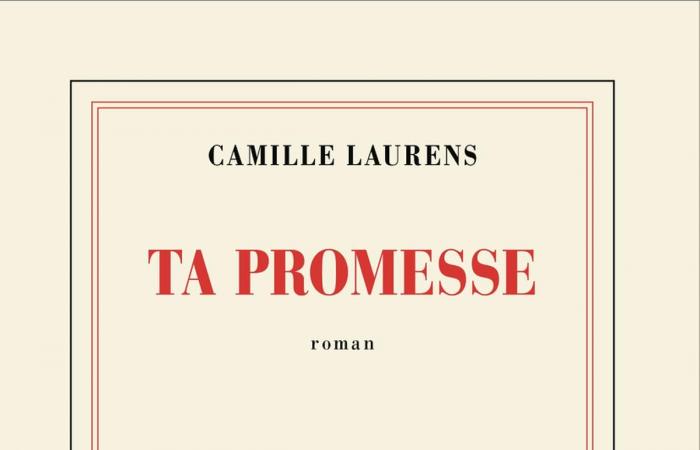 ¿Cuánto vale “Tu promesa”, la nueva novela de Camille Laurens?