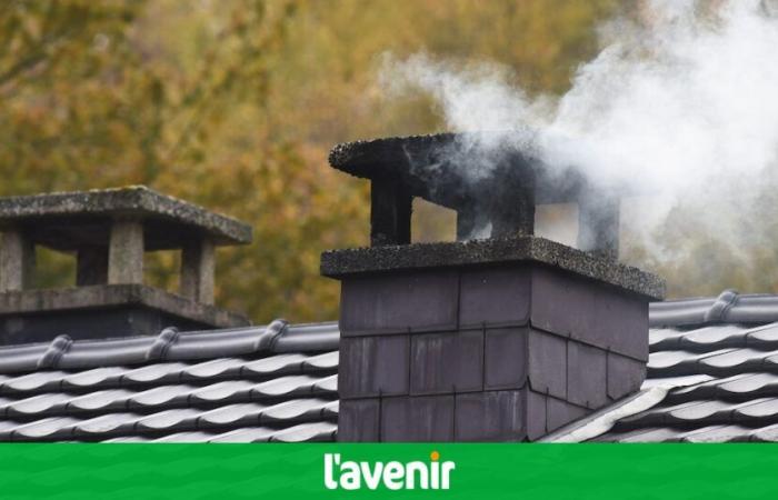 Contaminación por partículas finas: ¿deberíamos dejar de calentar con estufas de leña en Valonia?