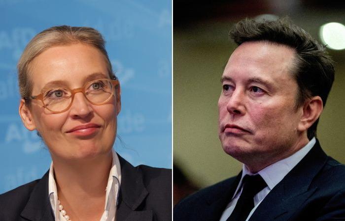 Elon Musk insta a los alemanes a votar por AfD en su última participación en la política europea