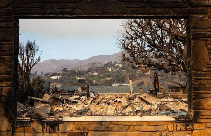 Esto es lo que alimentó los devastadores incendios invernales de Los Ángeles