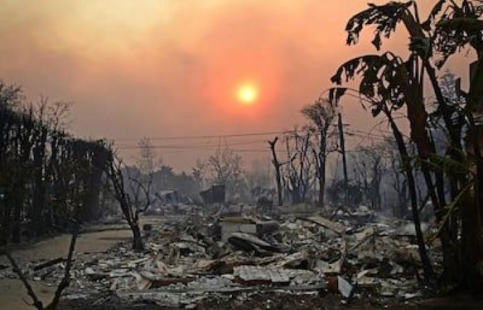 Les incendies de Los Angeles en chiffres