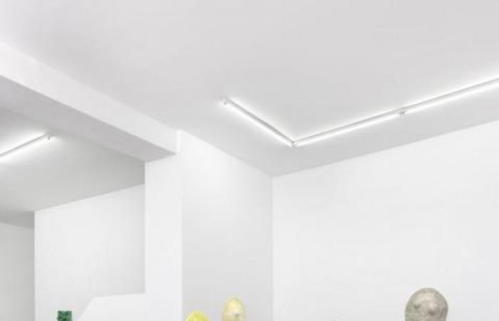 Genevoise Mai-Thu Perret expone en la galería Mezzanin