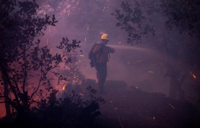 Entre llamas y desinformación, el pánico se apodera de la Ciudad de los Ángeles