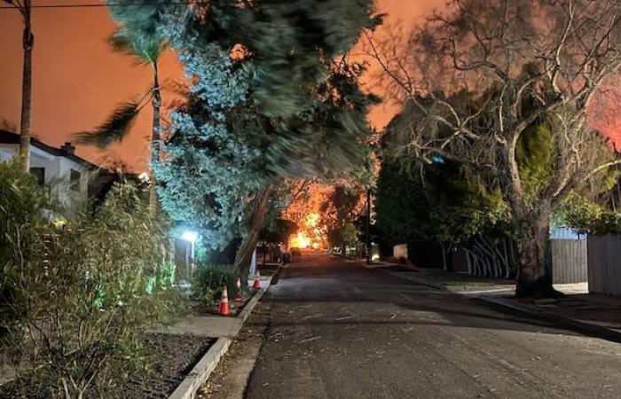 Incendios en Los Ángeles: “Todo Pacific Palisades había desaparecido”, lamenta una canadiense