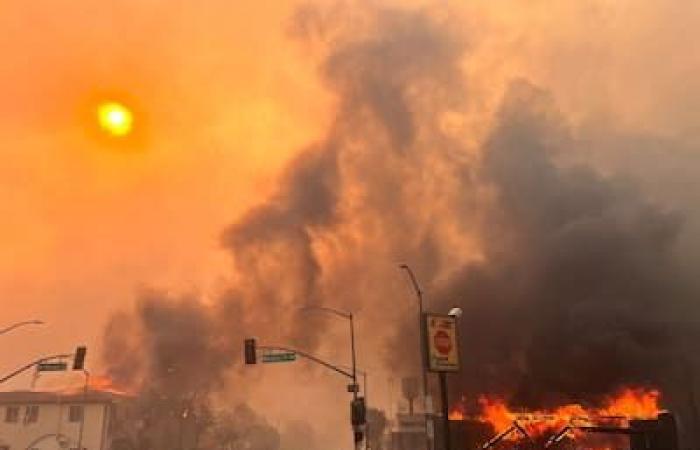 Les incendies de Los Angeles en chiffres