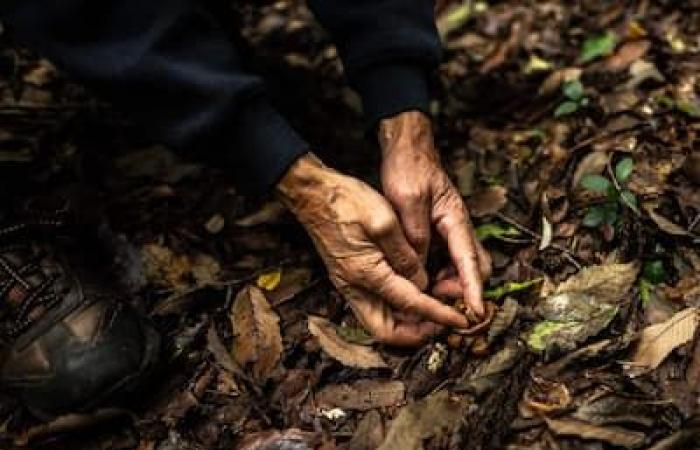 [PHOTOS] El “maestro del excremento” japonés se enorgullece de alimentar directamente a la Madre Naturaleza