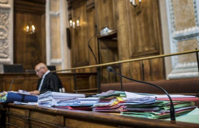 ¿Hay 4.000 causas penales pendientes de juicio en Francia?