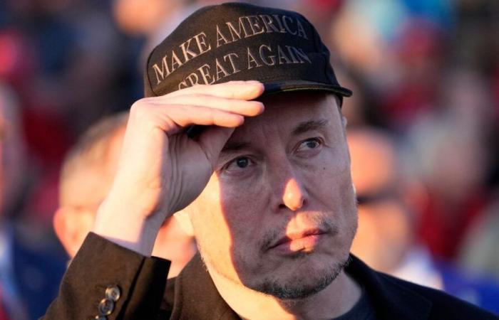 La retransmisión de AfD de Elon Musk despejó cualquier duda sobre su actitud hacia la extrema derecha alemana | Noticias del mundo