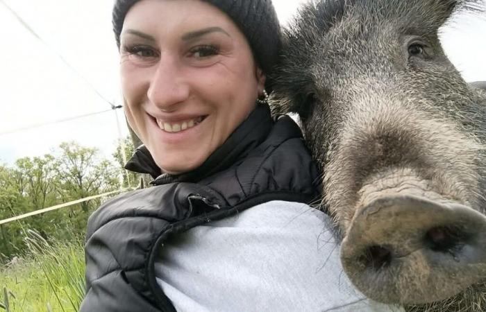 “Tenemos un vínculo”… La lucha de Elodie para mantener a su jabalí en casa