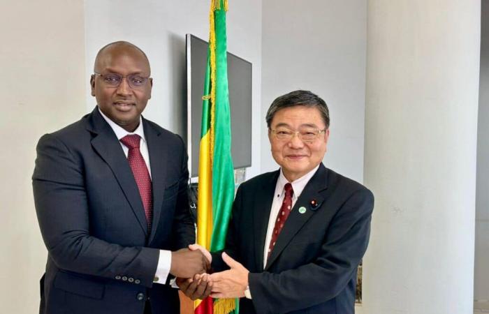 El Ministro Dr. Cheikh Tidiane Dièye anuncia el fortalecimiento de los vínculos Senegal-Japón