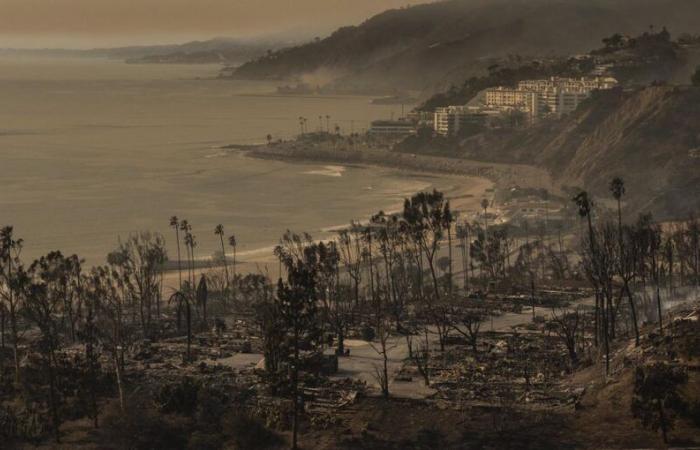 Incendios en Los Ángeles: “Nunca había visto nada de esta escala”