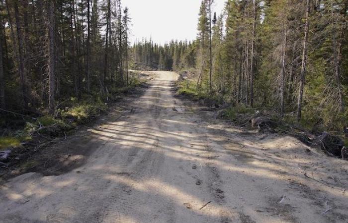 Las operaciones en el aserradero de Outardes siguen paralizadas desde la explosión de octubre