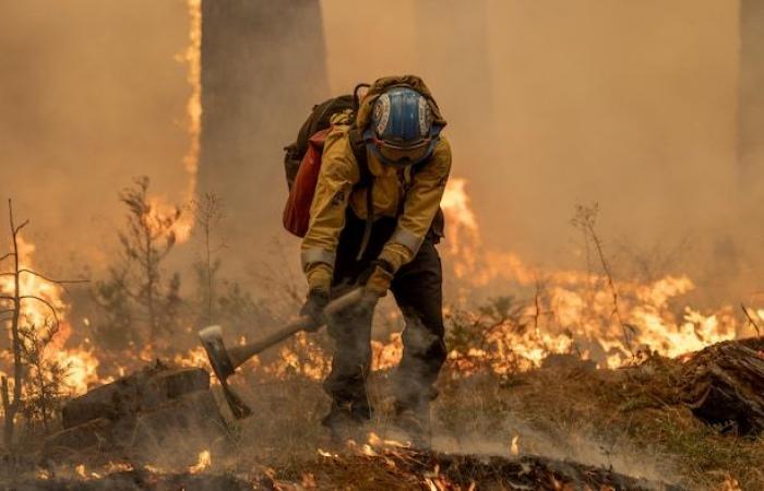 Cambio climático: se ha superado el umbral de 1,5°C