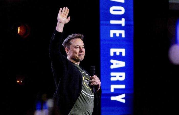 Partido de extrema derecha alemán | Elon Musk reitera su apoyo a AfD