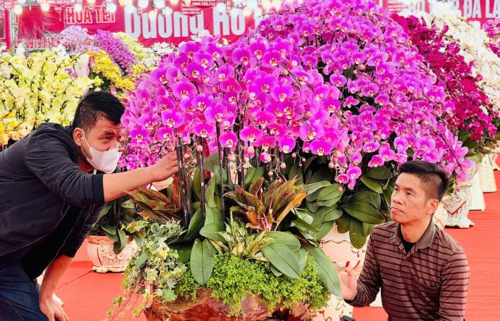 Primer plano de una maceta de orquídeas Phalaenopsis bañada en oro y tachonada de diamantes a la venta por casi 4.000 millones de VND