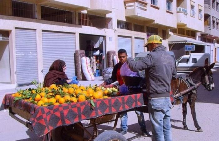 Casablanca, agitada por los vendedores ambulantes – Consonews