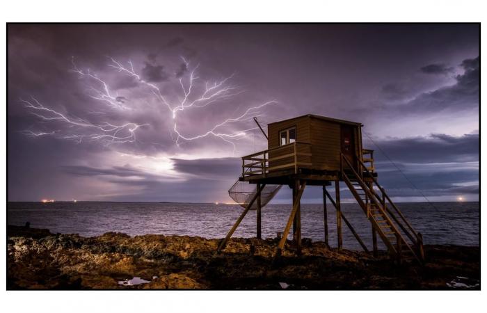 “La fotografía es el medio de expresión donde me encontré”