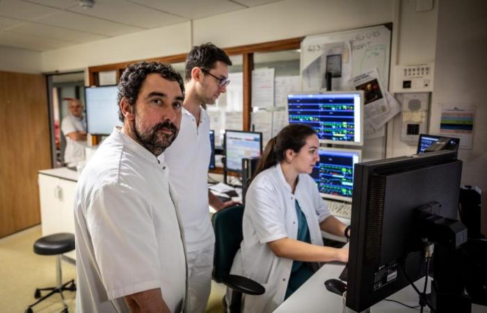 La gripe gana terreno en Charente, los hospitales y los consultorios médicos intentan resistir