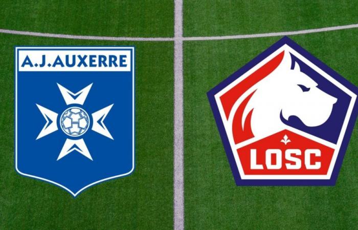 Lille: ¿a qué hora y en qué canal ver en directo el partido de la Ligue 1?