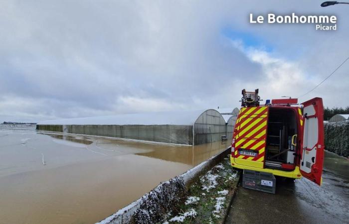 Inundaciones: 10 casas y el vivero Dekester afectados en Grandvilliers