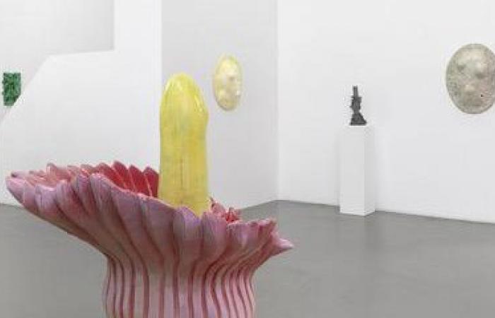 Genevoise Mai-Thu Perret expone en la galería Mezzanin