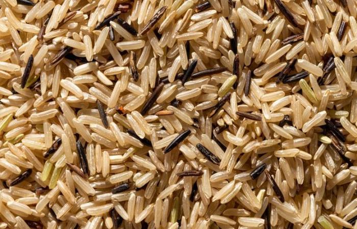 Senegal: Arroz local enriquecido con micronutrientes para combatir el hambre oculta y las deficiencias nutricionales – VivAfrik