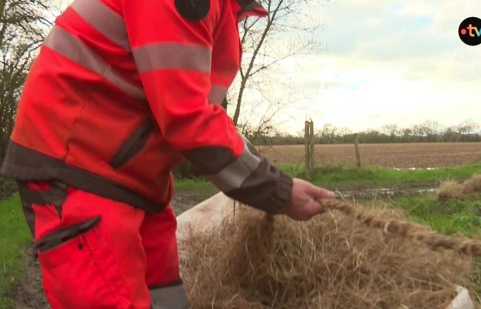 El Loira crece, la SNCF cierra las compuertas para garantizar la seguridad de los vecinos