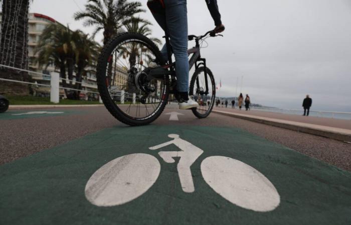 El uso de bicicletas se estancó en Francia en 2024