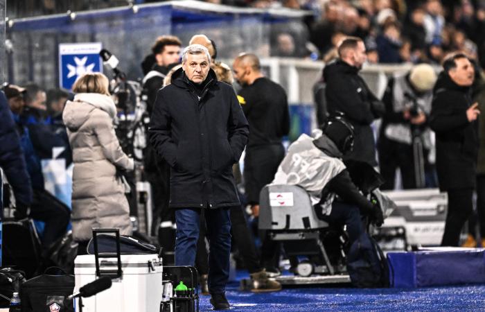 La reacción de los Mastines tras el Auxerre-LOSC