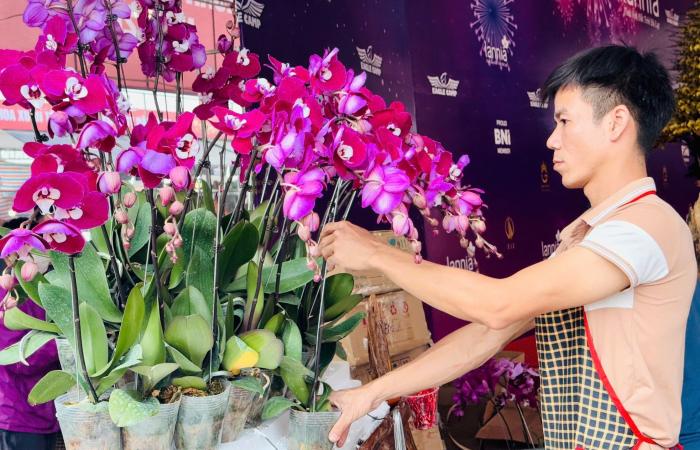 Primer plano de una maceta de orquídeas Phalaenopsis bañada en oro y tachonada de diamantes a la venta por casi 4.000 millones de VND