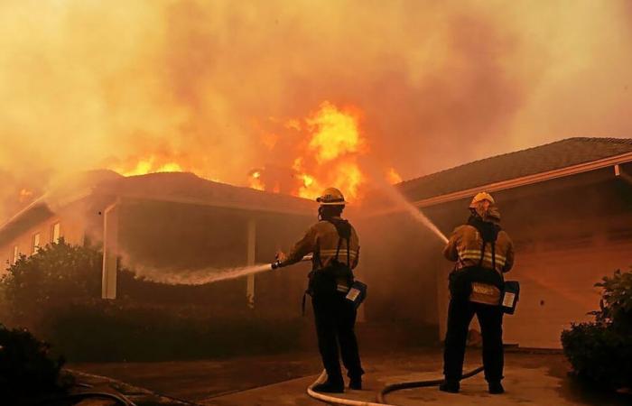 Incendios devastadores en Los Ángeles: Laeticia Hallyday, Paris Hilton… Las estrellas ven sus villas arrasadas por las llamas