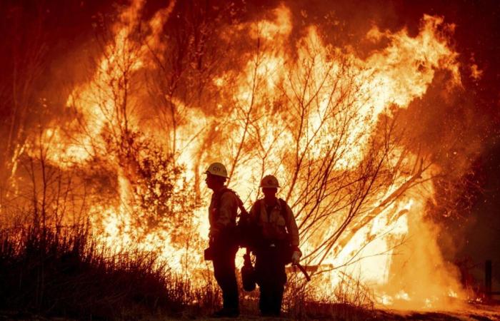 California: Los incendios cerca de Los Ángeles siguen fuera de control, al menos 10 muertos y 10.000 edificios destruidos