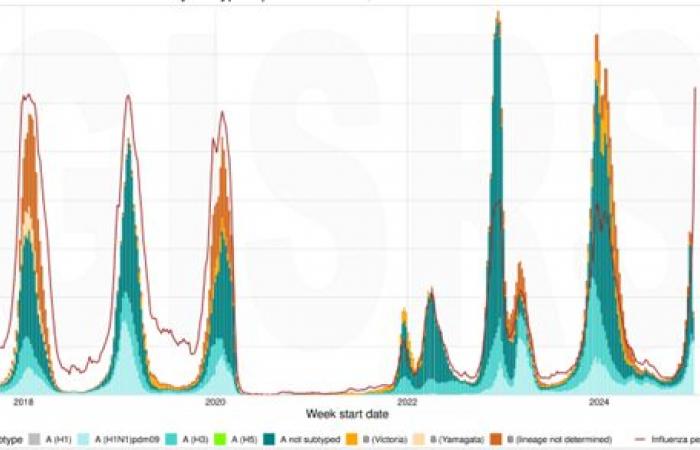 Tendencias de las infecciones respiratorias agudas, incluido el metapneumovirus humano, en el hemisferio norte