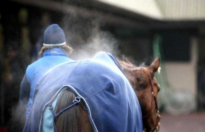 Contaminación con glicopirrolato y beclometasona.