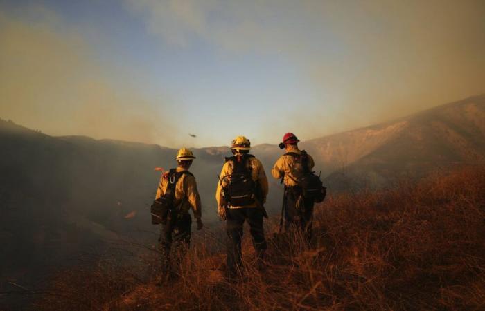 Presos “voluntarios”, agentes privados,… ¿quiénes son los bomberos que intentan apagar los incendios?