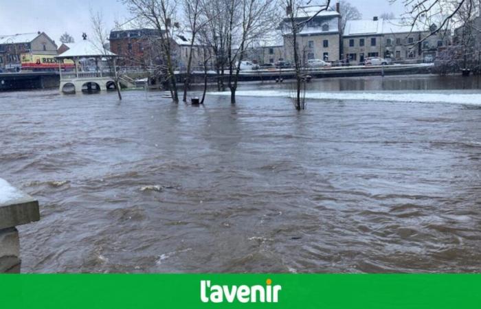 El Ourthe ha causado daños y su nivel sigue aumentando: “La zona de la presa de Hotton está a pocos centímetros de desbordarse” (vídeo y fotos)