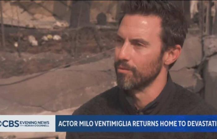 [VIDÉO] “Brindis”: Milo Ventimiglia regresa al lugar del incendio para ver lo que queda de su casa