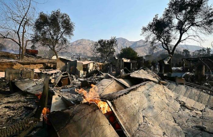 Incendios en Los Ángeles: zonas afectadas bajo estrecha vigilancia para evitar saqueos