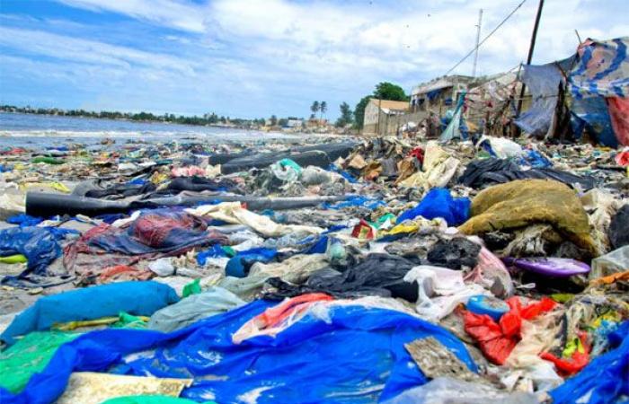 Descontaminación de la bahía de Hann: la modernización de las unidades industriales a la vista – Lequotidien