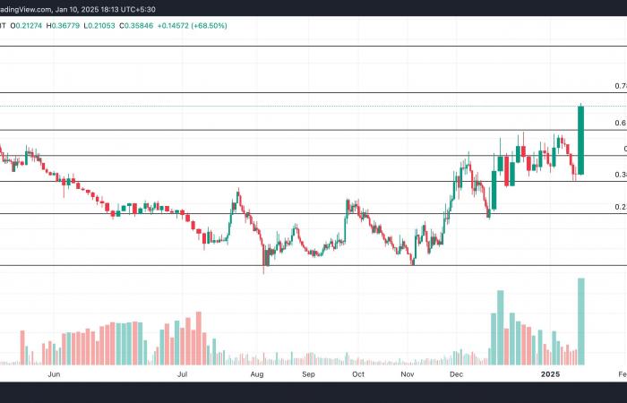 ¡Estas altcoins están hablando de ellas!