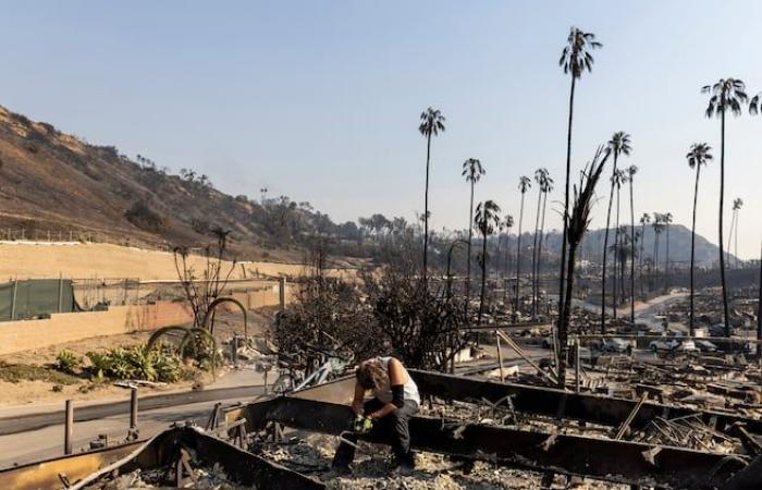 Incendios en Los Ángeles: al menos 10 muertos