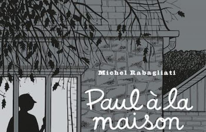 El mural de Paul, héroe del caricaturista quebequense Michel Rabagliati, vandalizado en Montreal