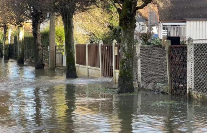 Inundación récord en Gournay-en-Bray, residentes de una residencia de ancianos evacuados en barco