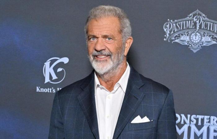 Mel Gibson encontró su casa en cenizas, pero sus gallinas vivas y bien