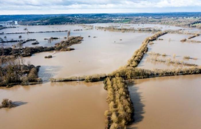 Las fuertes lluvias provocaron inundaciones en el oeste de Francia, donde varios ríos se desbordaron