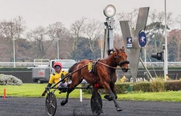 Premio de Bélgica – America Races Q6: It’s A Dollarmaker tiene una oportunidad de oro – Trot