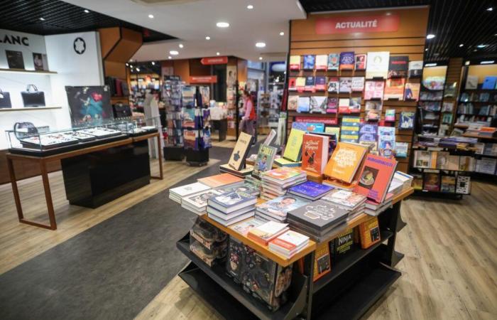 Camille Laurens, Blandine Rinkel, Donatella Di Pietrantonio, Hervé Commère… La selección de libros de “Sud Ouest”